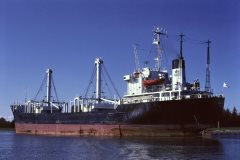 Thumbnail Image for Swee Lean