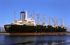 Thumbnail Image for Sea Guardian