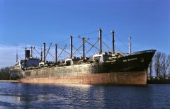 Thumbnail Image for Sea Guardian