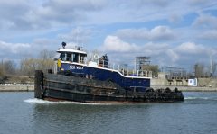 Thumbnail Image for Sea Wolf