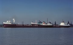 Thumbnail Image for Fort Henry