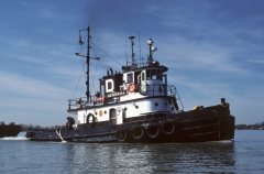 Thumbnail Image for General