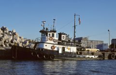 Thumbnail Image for General