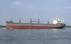 Thumbnail Image for Gervalla