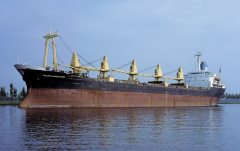 Thumbnail Image for Golden Evagelistra