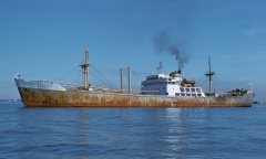 Thumbnail Image for Grace