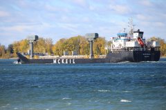 Thumbnail Image for Blair McKeil