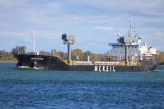 Thumbnail Image for Blair McKeil