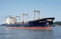 Thumbnail Image for Oriental Envoy