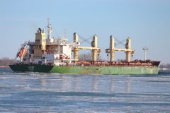 Thumbnail Image for Carme