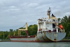 Thumbnail Image for Janet C