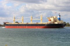 Thumbnail Image for Catherine