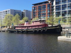 Thumbnail Image for Daniel McAllister