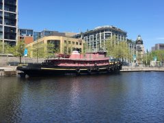 Thumbnail Image for Daniel McAllister