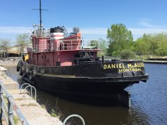 Thumbnail Image for Daniel McAllister