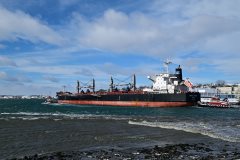 Thumbnail Image for Genco Laddey