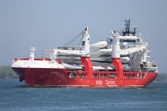 Thumbnail Image for Charlie