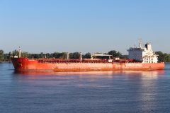 Thumbnail Image for Charline