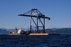 Thumbnail Image for Haedong Star No. 99