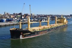 Thumbnail Image for Marguerita