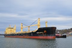 Thumbnail Image for Marguerita