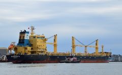 Thumbnail Image for Marguerita