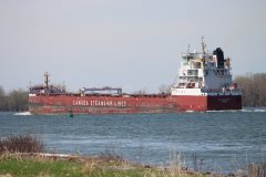 Thumbnail Image for CSL St-Laurent