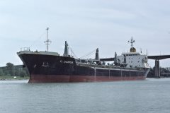 Thumbnail Image for El Champion