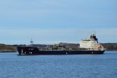 Thumbnail Image for The Amigo