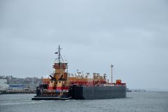 Thumbnail Image for Nicole Leigh Reinauer