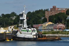 Thumbnail Image for Choptank