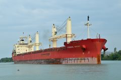 Thumbnail Image for Federal Biscay