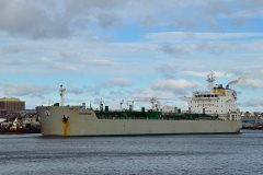 Thumbnail Image for Acadian