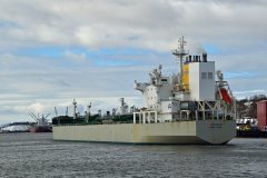 Thumbnail Image for Acadian