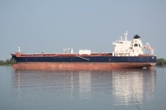 Thumbnail Image for DEE4 Nerium