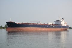 Thumbnail Image for DEE4 Nerium