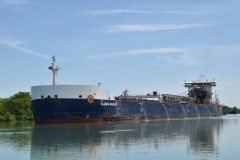 Thumbnail Image for Algoma Niagara