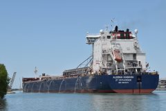 Thumbnail Image for Algoma Niagara