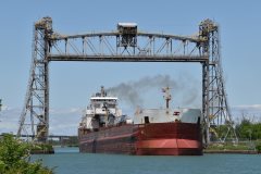 Thumbnail Image for Atlantic Huron oncontextmenu=