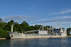 Thumbnail Image for NACC Capri