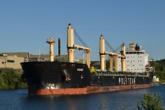 Thumbnail Image for Resko