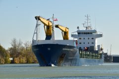 Thumbnail Image for Morgenstond I