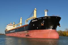 Thumbnail Image for Oborishte