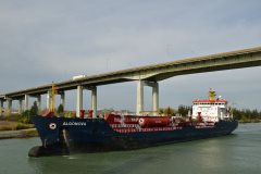 Thumbnail Image for Algonova