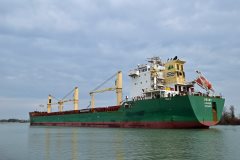 Thumbnail Image for Brant