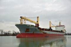 Thumbnail Image for Julie C