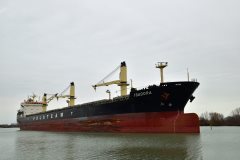 Thumbnail Image for Isadora