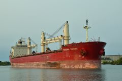 Thumbnail Image for Federal Kumano