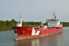 Thumbnail Image for Iver Bright