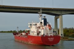 Thumbnail Image for Iver Bright